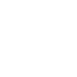 Icon Innovative
